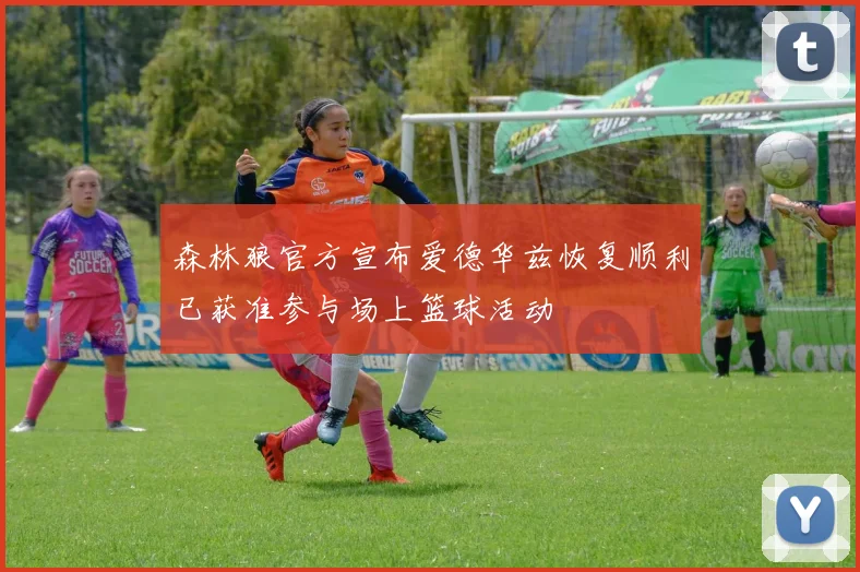 森林狼官方宣布爱德华兹恢复顺利已获准参与场上篮球活动